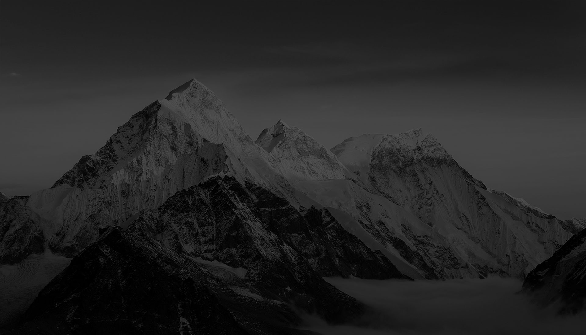 Testbeitrag 2